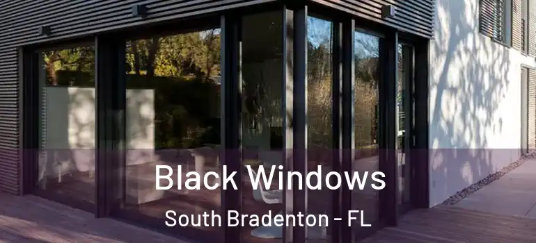  Black Windows South Bradenton - FL