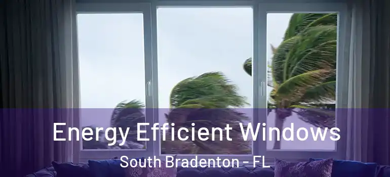  Energy Efficient Windows South Bradenton - FL
