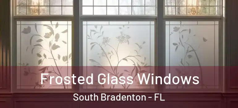  Frosted Glass Windows South Bradenton - FL