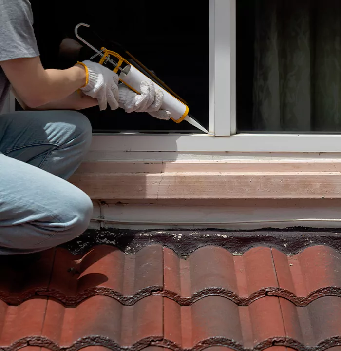 Roof Window Services in South Bradenton, Florida