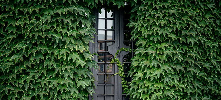 Garden Gate Repair in South Bradenton, FL