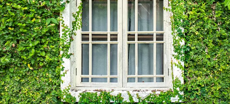 Garden Window Repair Near Me in South Bradenton, FL