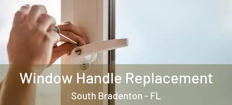  Window Handle Replacement South Bradenton - FL