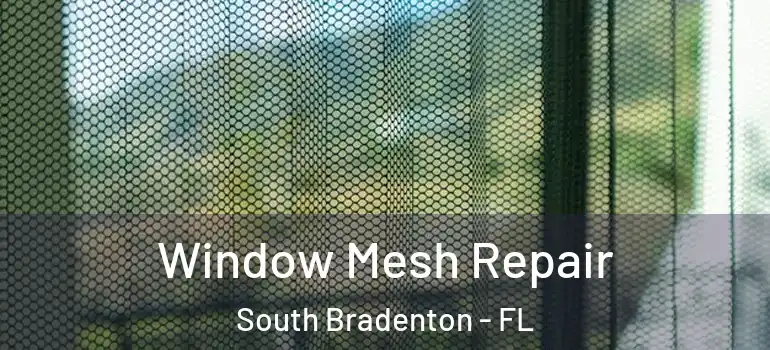  Window Mesh Repair South Bradenton - FL