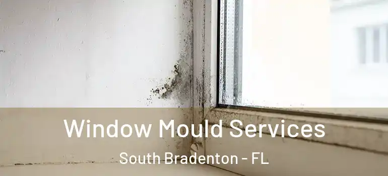  Window Mould Services South Bradenton - FL