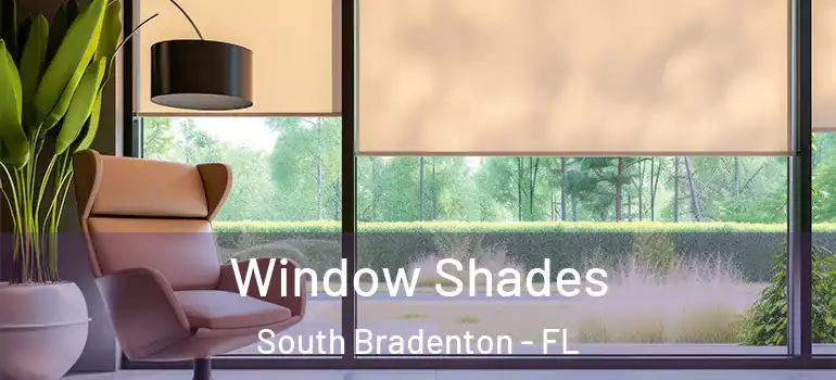  Window Shades South Bradenton - FL